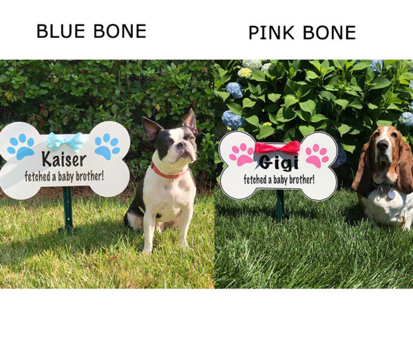 Pink and Blue Dog Bone Sign - Storks and More of Phoenix - Stork Sign Rental, Phoenix , AZ